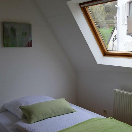 Ferienwohnung Bildgasse Neustadt an der Weinstrasse Bagian luar foto